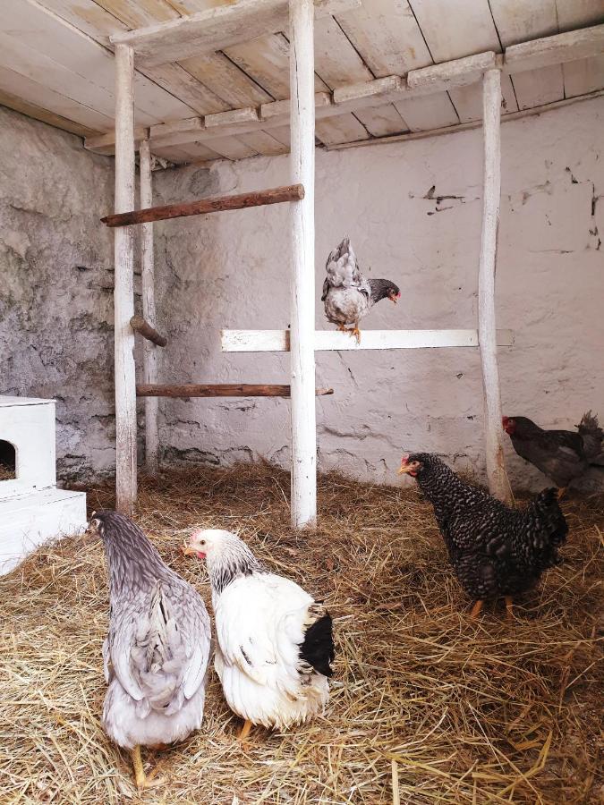 Die Alm In Schoellbuechl, Privatzimmer Sankt Martin  Exterior foto